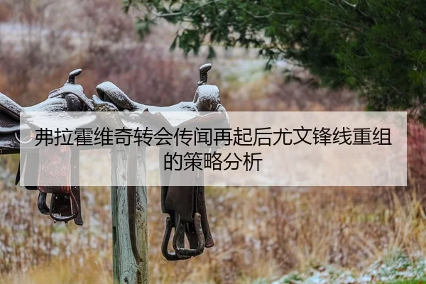弗拉霍维奇转会传闻再起后尤文锋线重组的策略分析