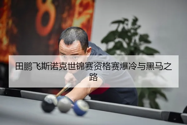 tian-peng-fei-si-nuo-ke-shi-jin-sai-zi-ge-sai-bao-leng-yu-hei-ma-zhi-lu-3-309.jpg
