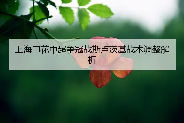 shang-hai-shen-hua-zhong-chao-zheng-guan-zhan-si-lu-ci-ji-zhan-shu-tiao-zheng-jie-xi-2-136.jpg