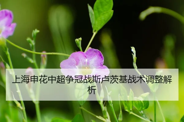 shang-hai-shen-hua-zhong-chao-zheng-guan-zhan-si-lu-ci-ji-zhan-shu-tiao-zheng-jie-xi-3-538.jpg