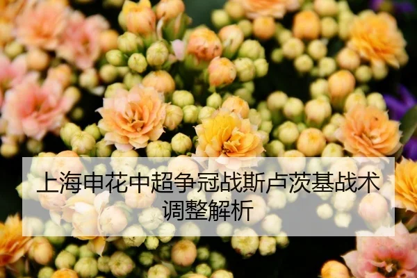 上海申花中超争冠战斯卢茨基战术调整解析