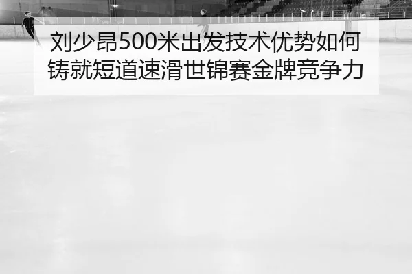 liu-shao-ang-mi-chu-fa-ji-shu-you-shi-ru-he-zhu-jiu-duan-dao-su-hua-shi-jin-sai-jin-pai-jing-zheng-li-2-556.jpg