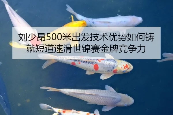 刘少昂500米出发技术优势如何铸就短道速滑世锦赛金牌竞争力